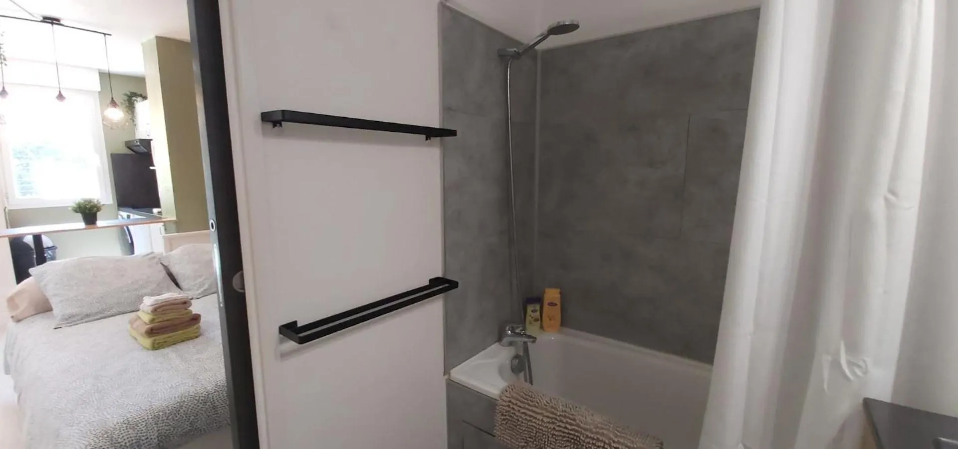 Les Elfes - Avec Entree Autonome, Clim Neuve, Jardin, Parking Prive & Gourmandises Offertes ! - Apartment Toulouse